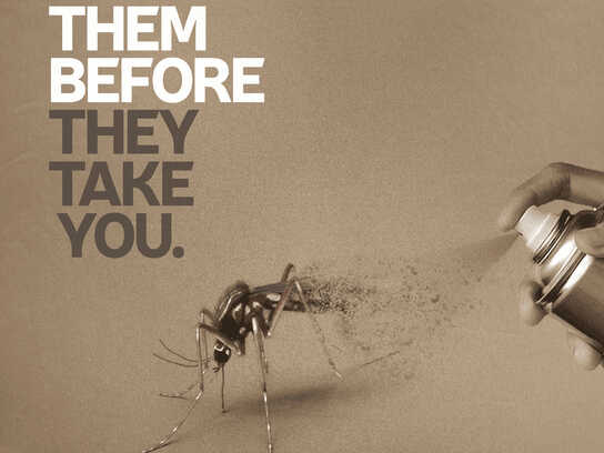 World Malaria Day