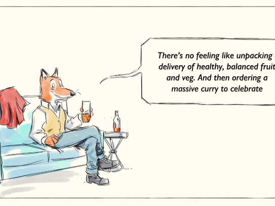 Henry the Fox on life in lockdown