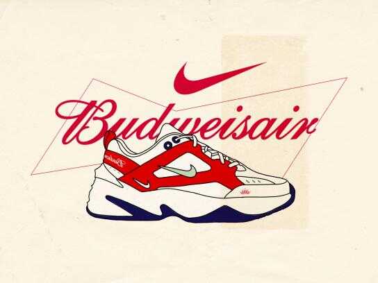 BudweisAIR