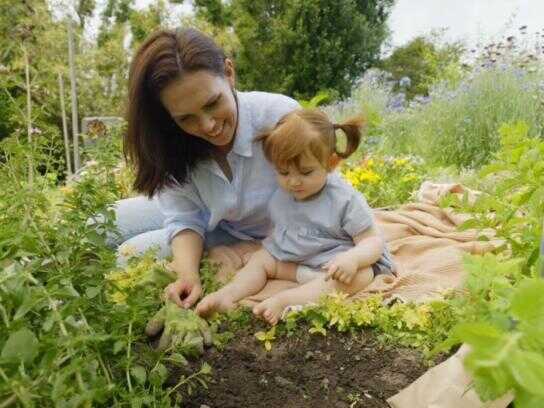 A Greener Future With Terra Biodegradable Nappies