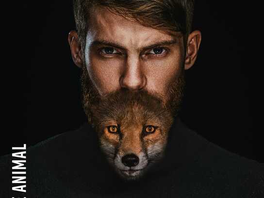 Tame The Animal