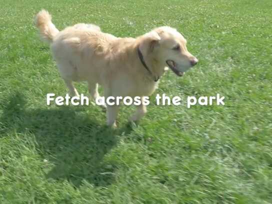 Fetch Across the Internet