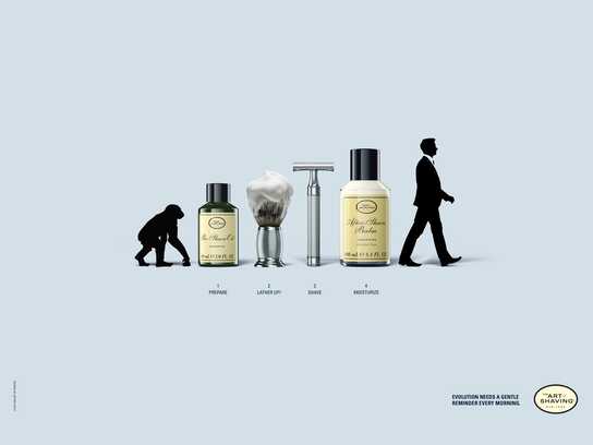 Evolution