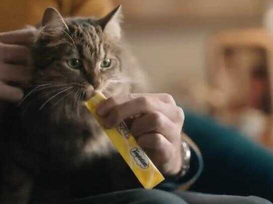 More time with your pet, Easy prey