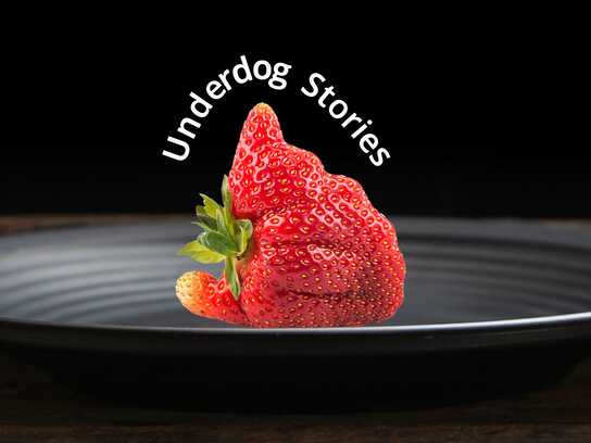 Underdog Stories