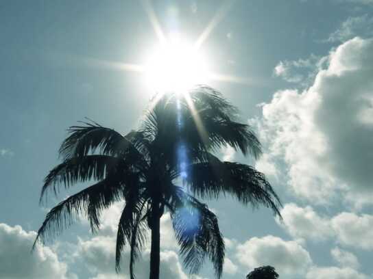 Heat in the 305