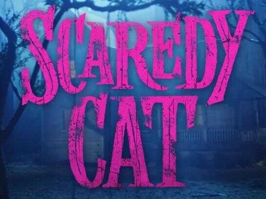 Scaredy Cat