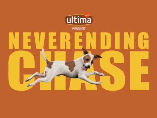 Neverending Chase